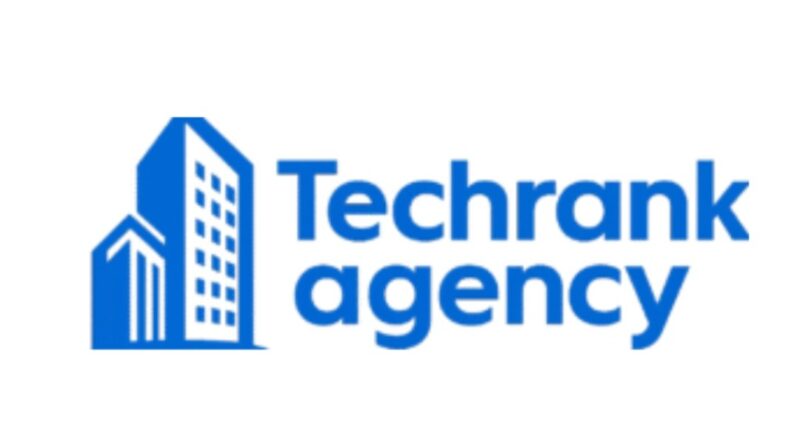 TechRank Agency, Govind Sharma, Best SEO Company in Delhi NCR, SEO Services Delhi, Google Business Profile Optimization Delhi, Local SEO Delhi NCR, Content Writing Services Delhi, Digital Marketing De