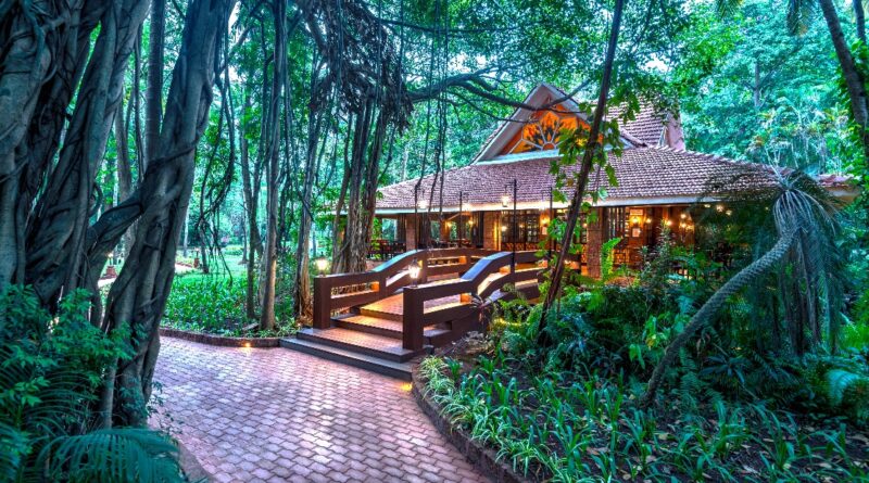 Lost Recipes: A Journey into Thailand’s Culinary Memory